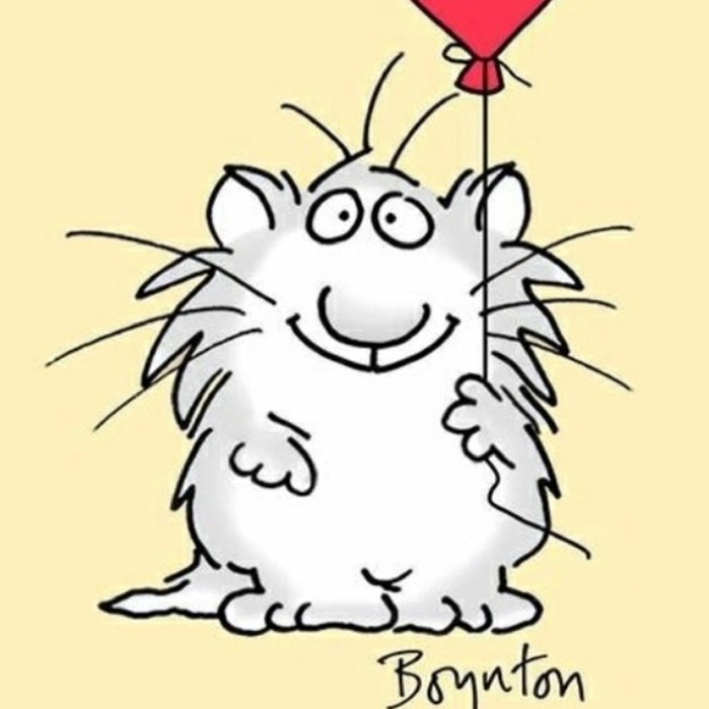 Meet your Posher, Sally